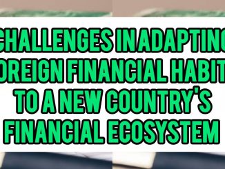 Challenges In Adapting Foreign Financial Habits To A New Country's Financial Ecosystem