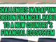Challenges In Adapting Foreign Financial Habits To A New Country's Financial Ecosystem