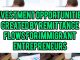 Investment Opportunities Created By Remittance Flows For Immigrant Entrepreneurs